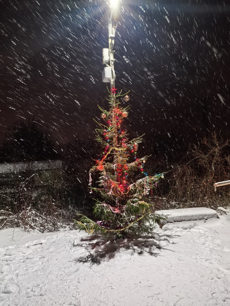 На площади установили новогоднюю ёлку!